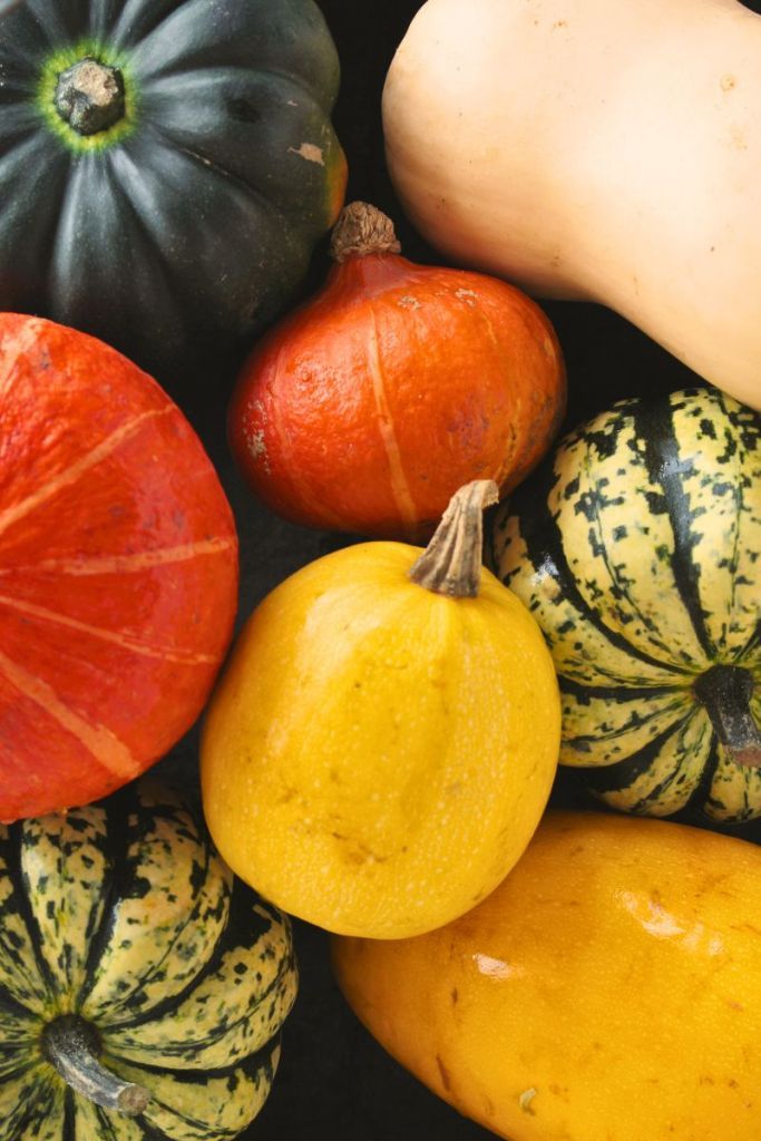 pumpkins & squash seeds
