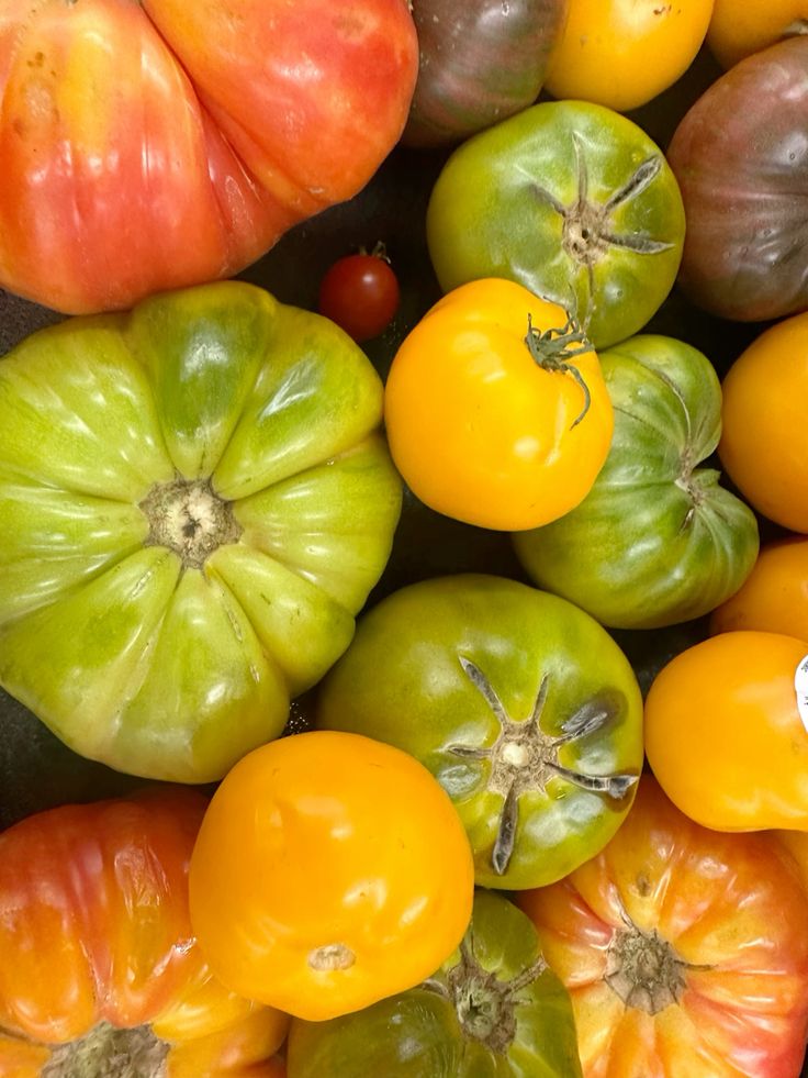 tomatoes
