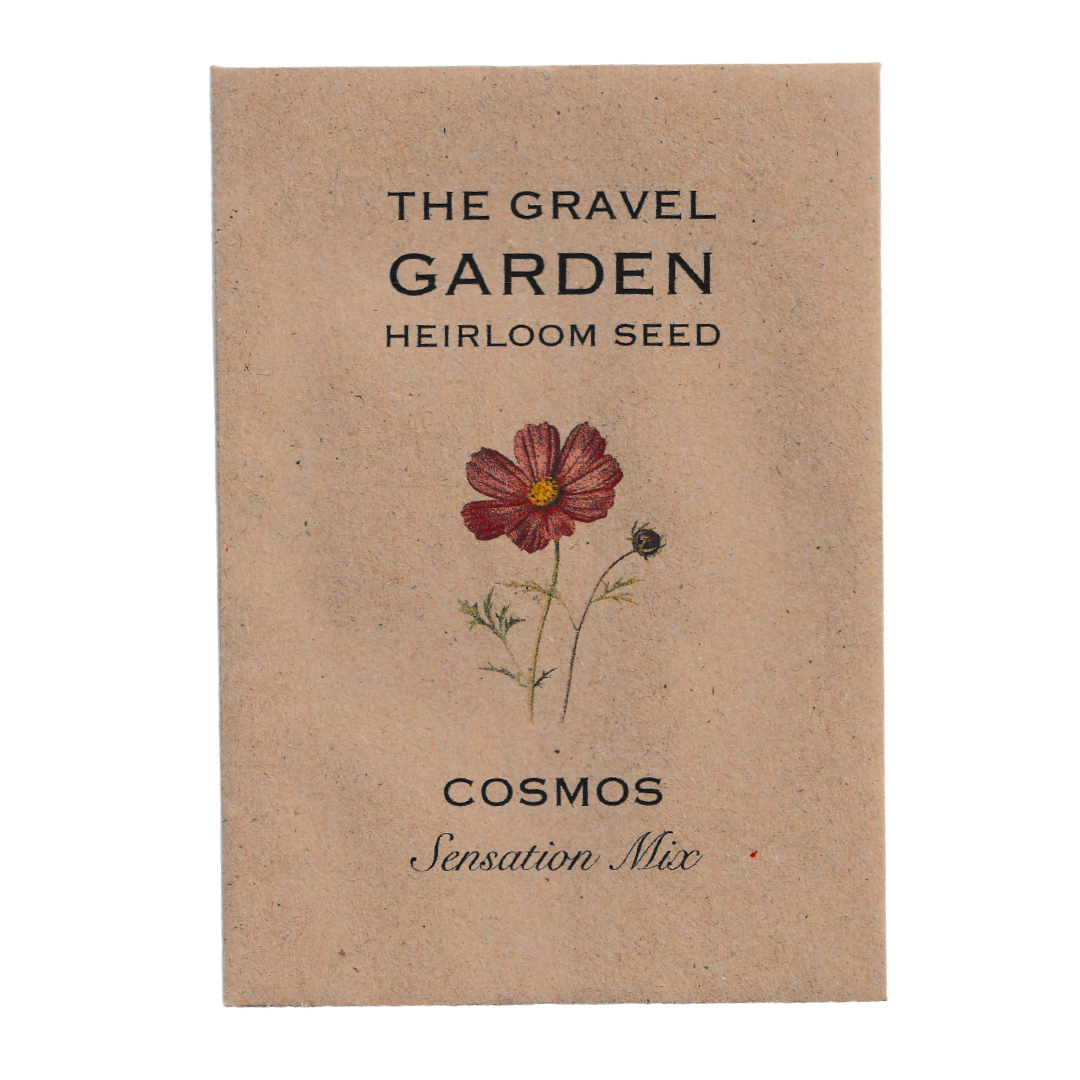 cosmos sensation mix seeds