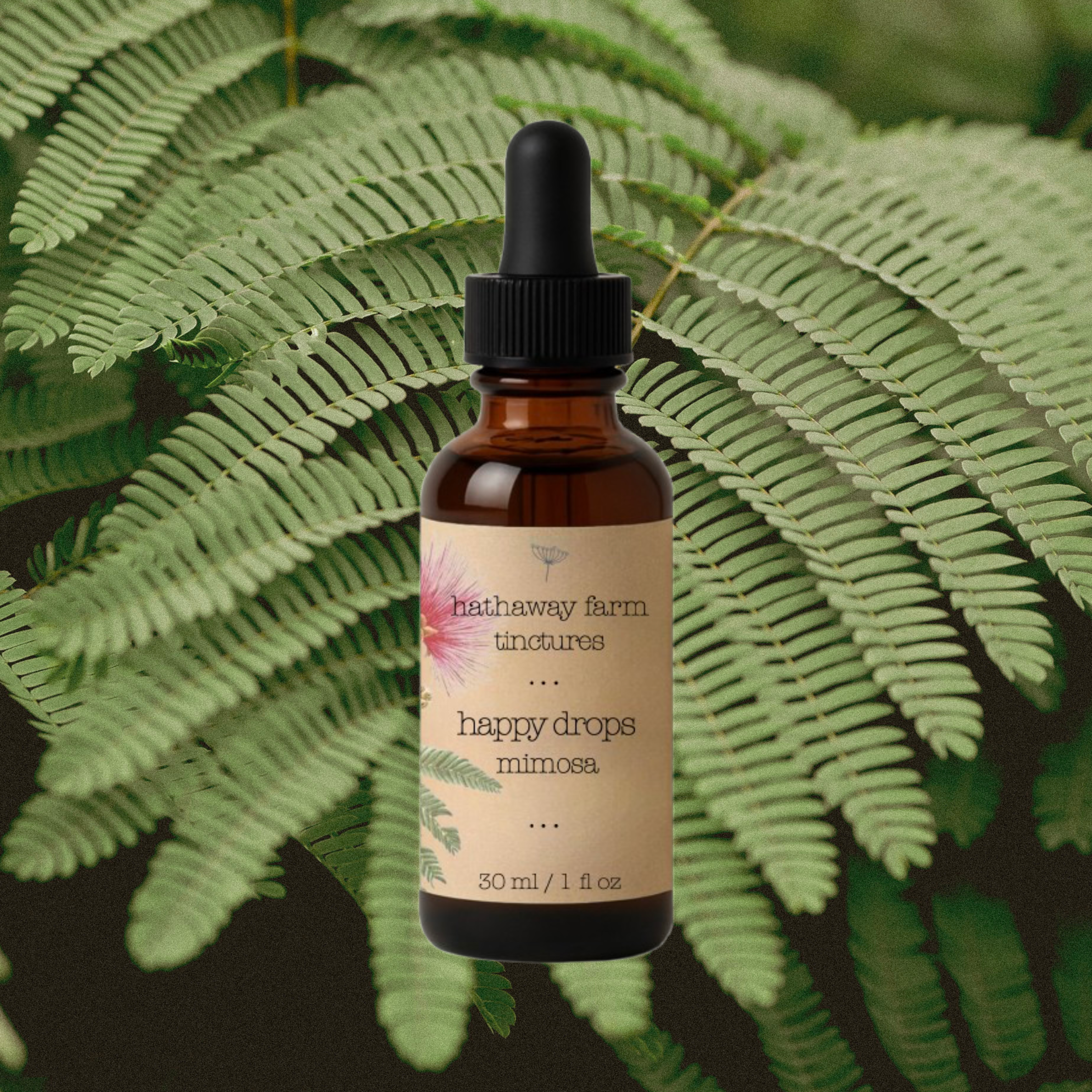 happy drops mimosa tincture
