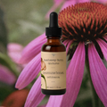 immune boost echinacea tincture