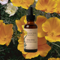 deep sleep californian poppy tincture