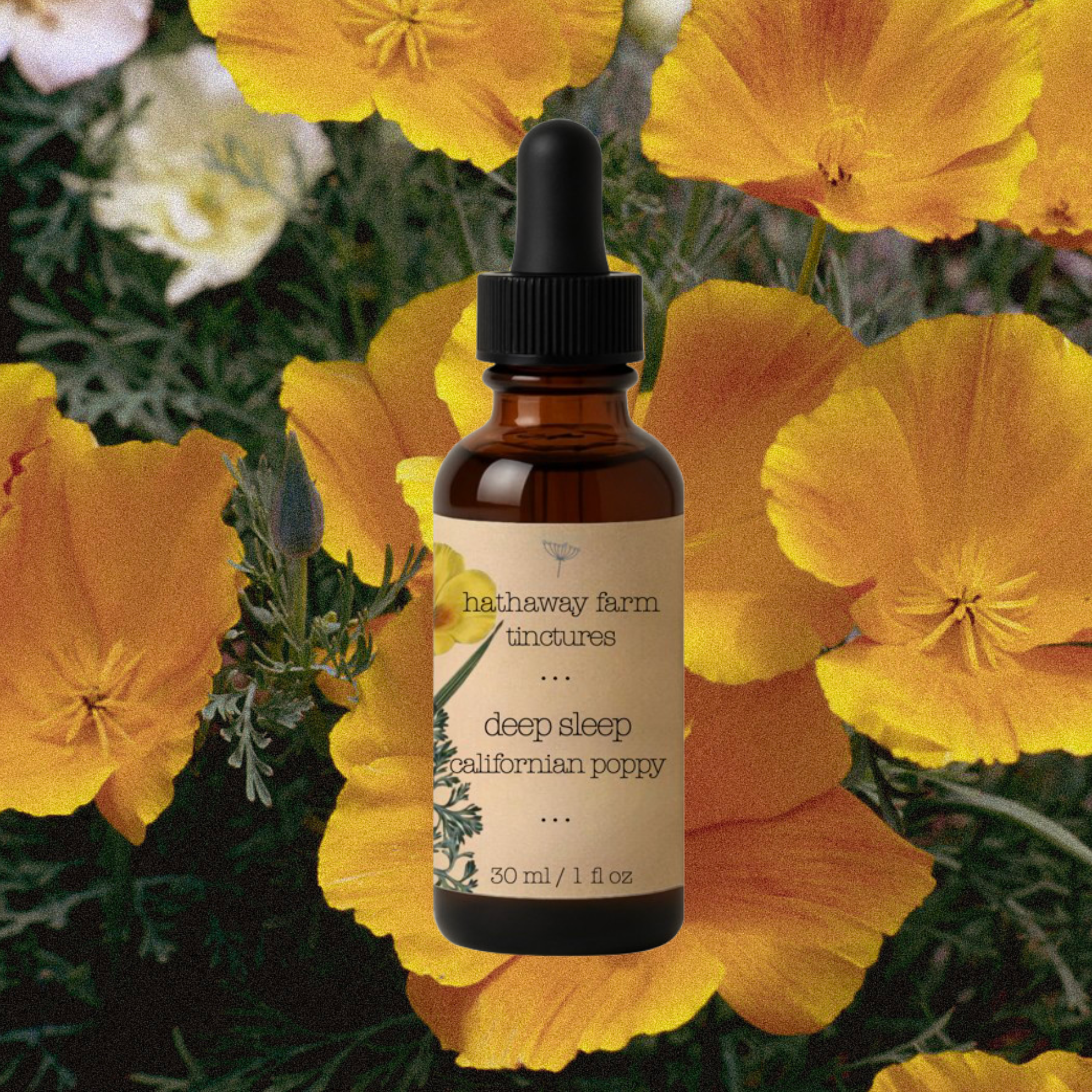 deep sleep californian poppy tincture