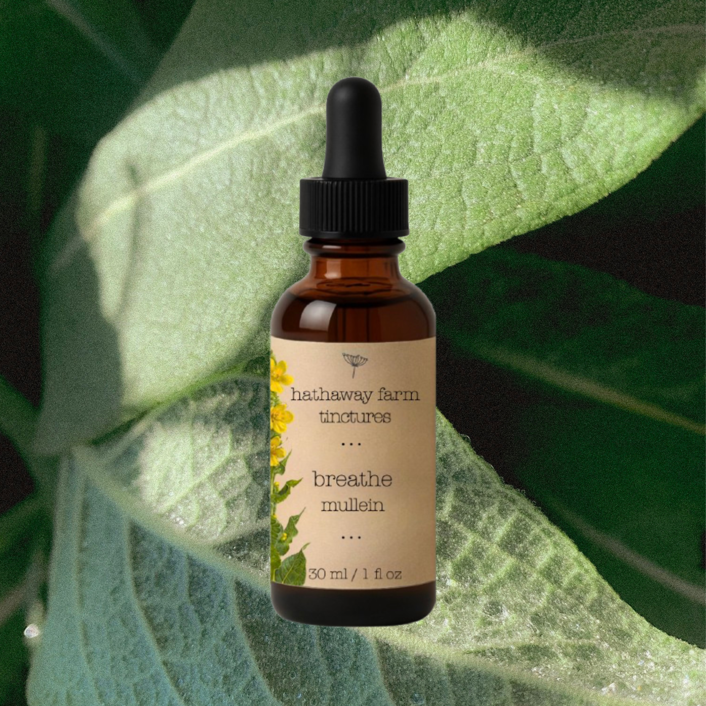 breathe mullein tincture