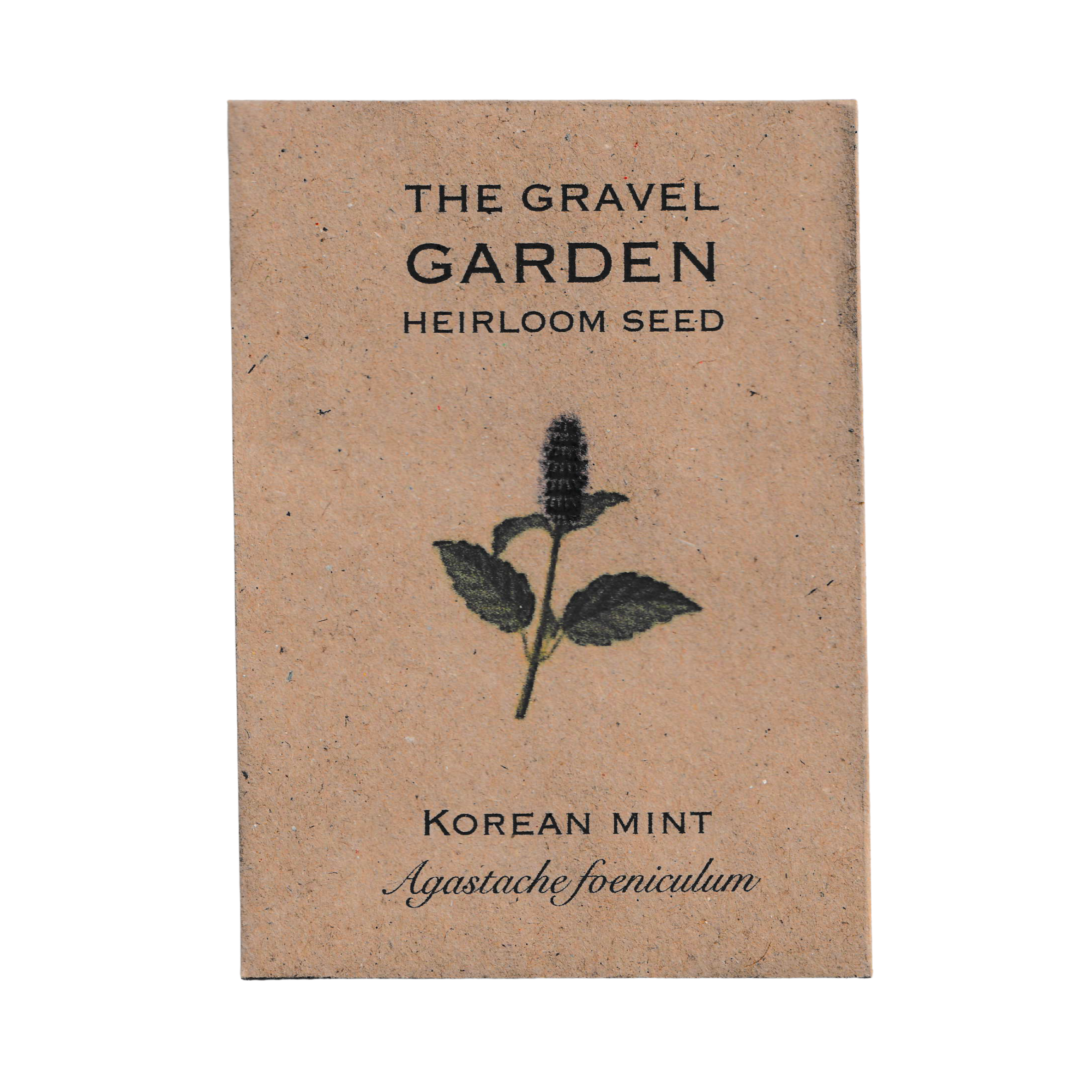 agastache korean mint seeds