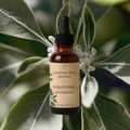 relax & reset ashwagandha tincture