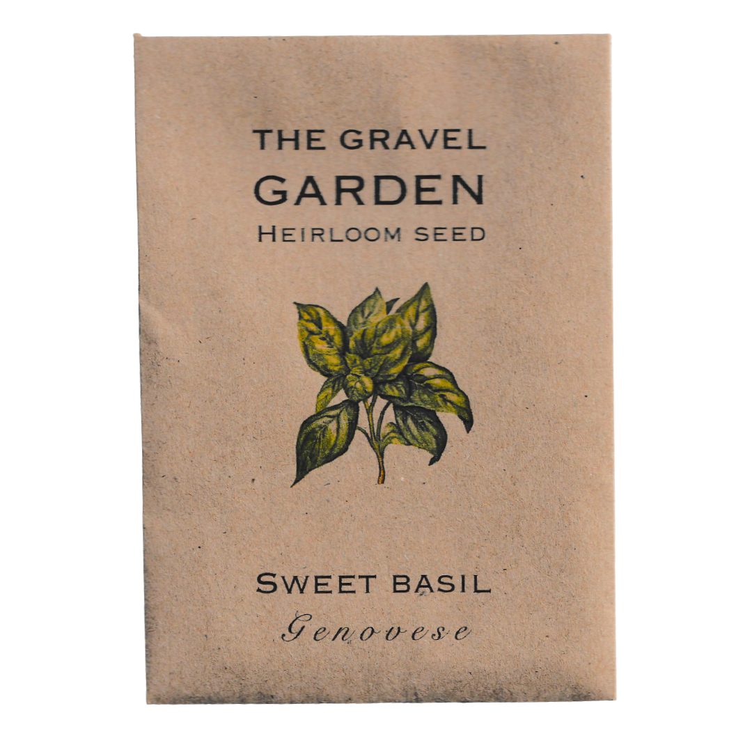 basil seeds