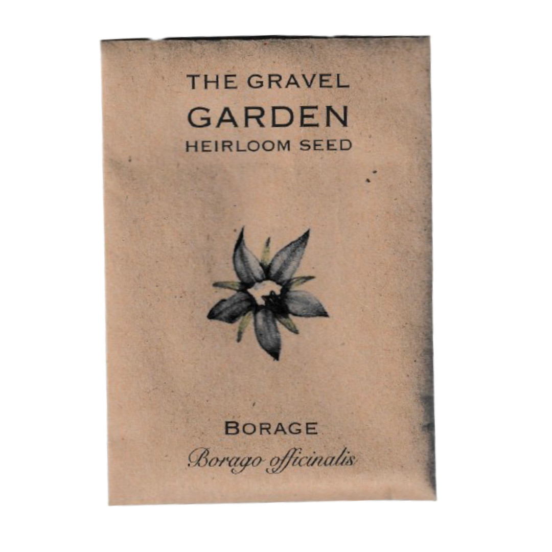 borage flower seeds