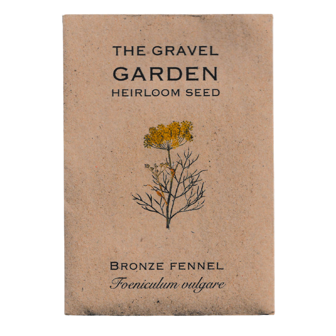 bronze fennel seeds