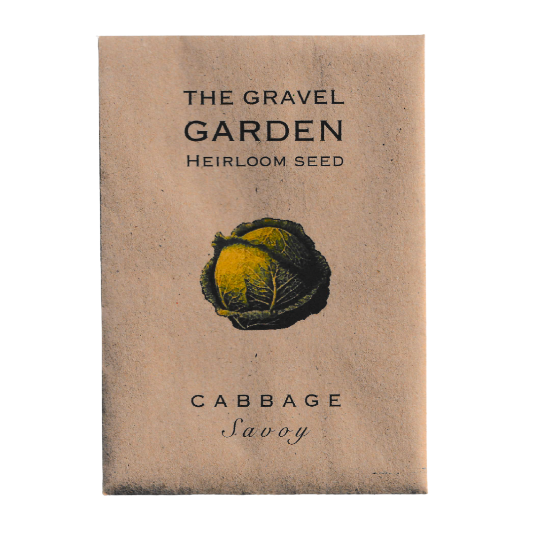 cabbage savoy perfection seeds