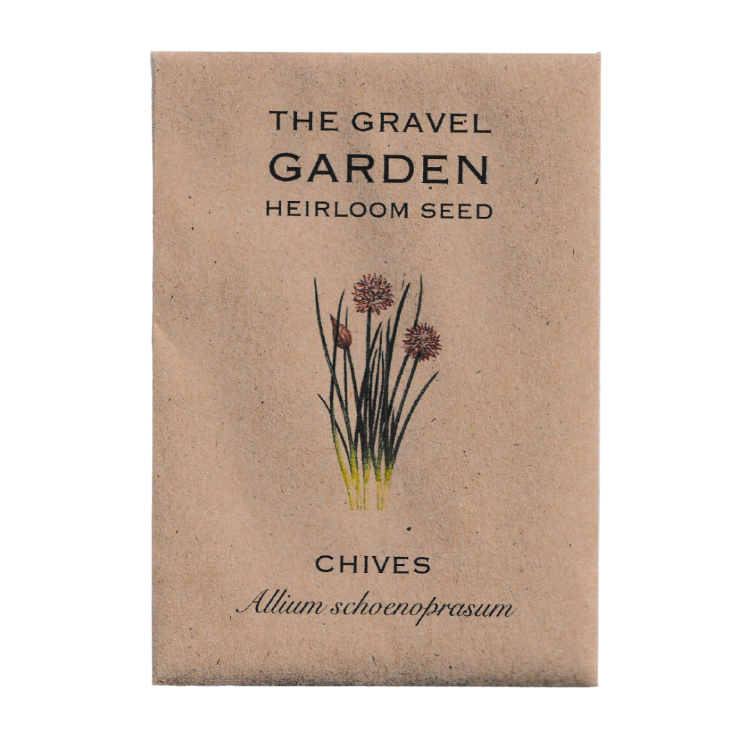 chives seeds