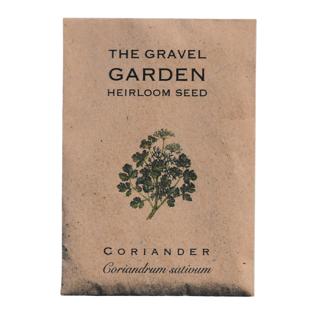 coriander seeds