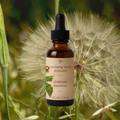 cleanse dandelion tincture
