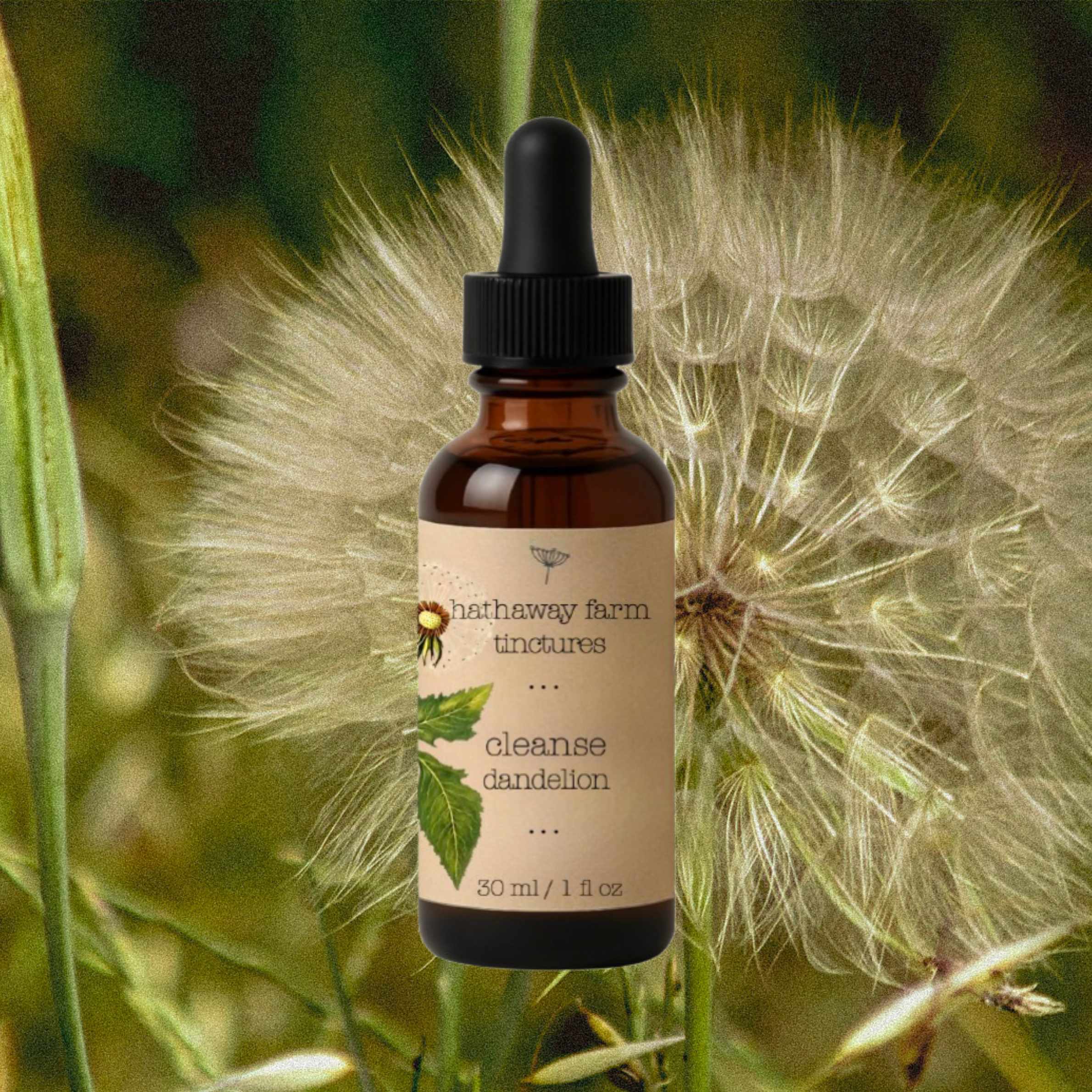 cleanse dandelion tincture