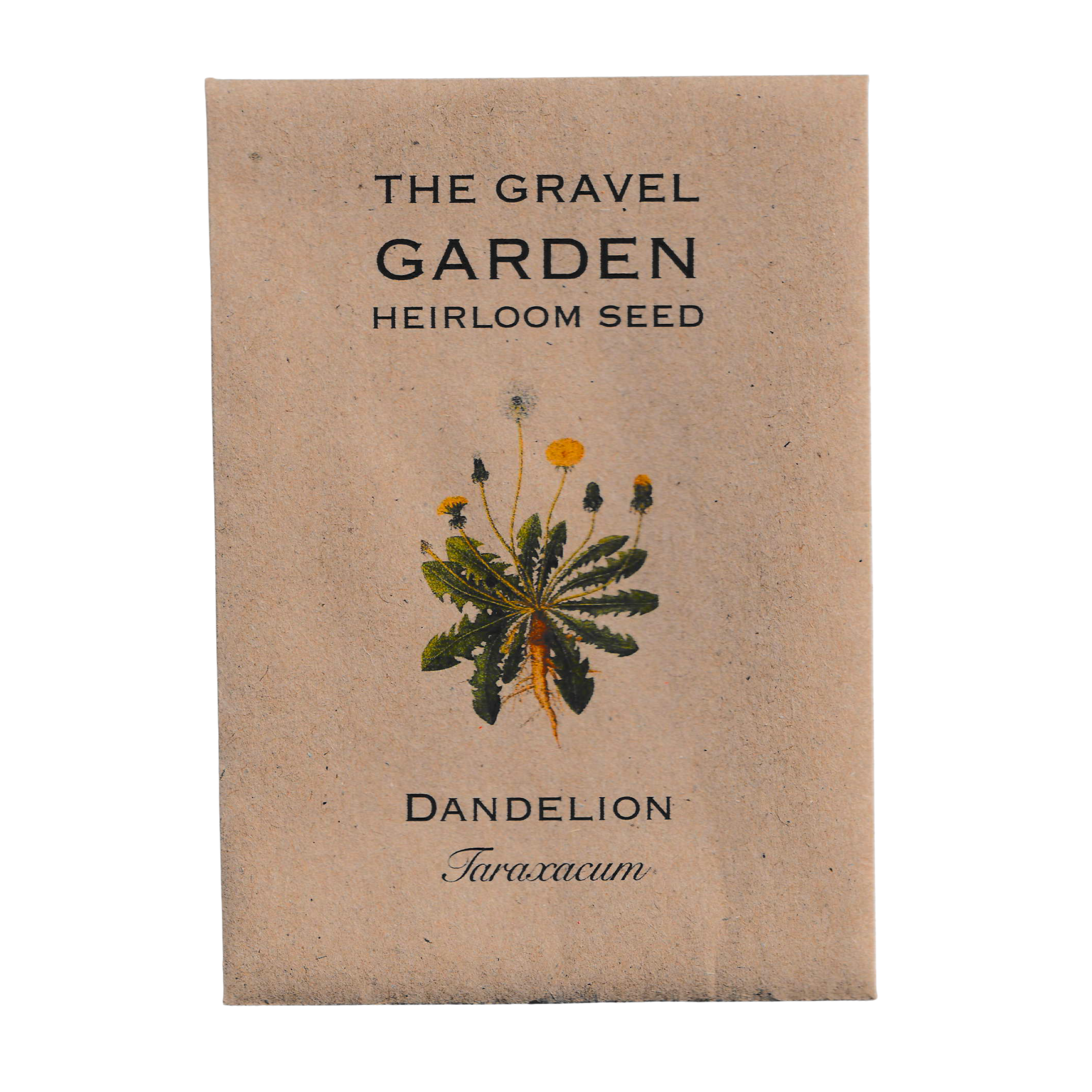 dandelion seeds