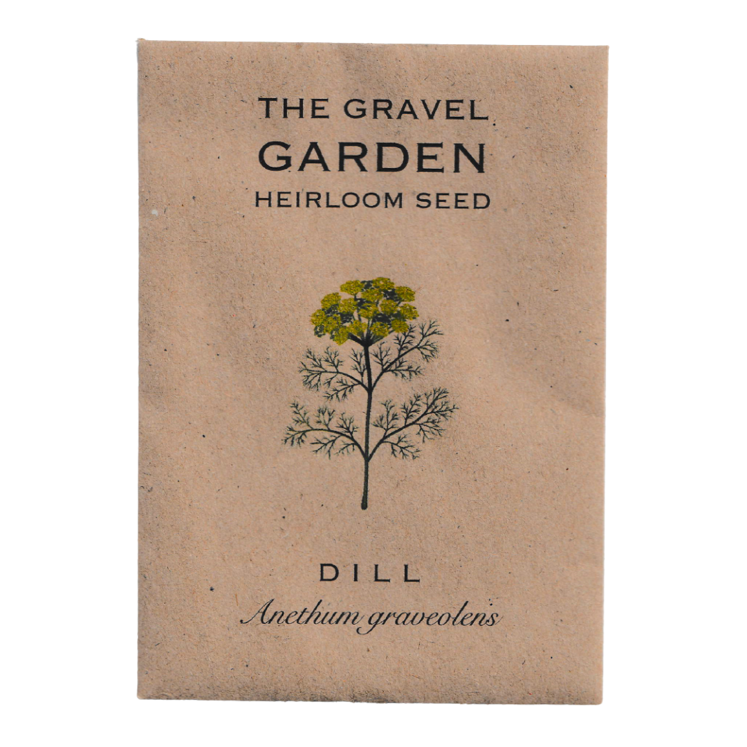 dill seeds