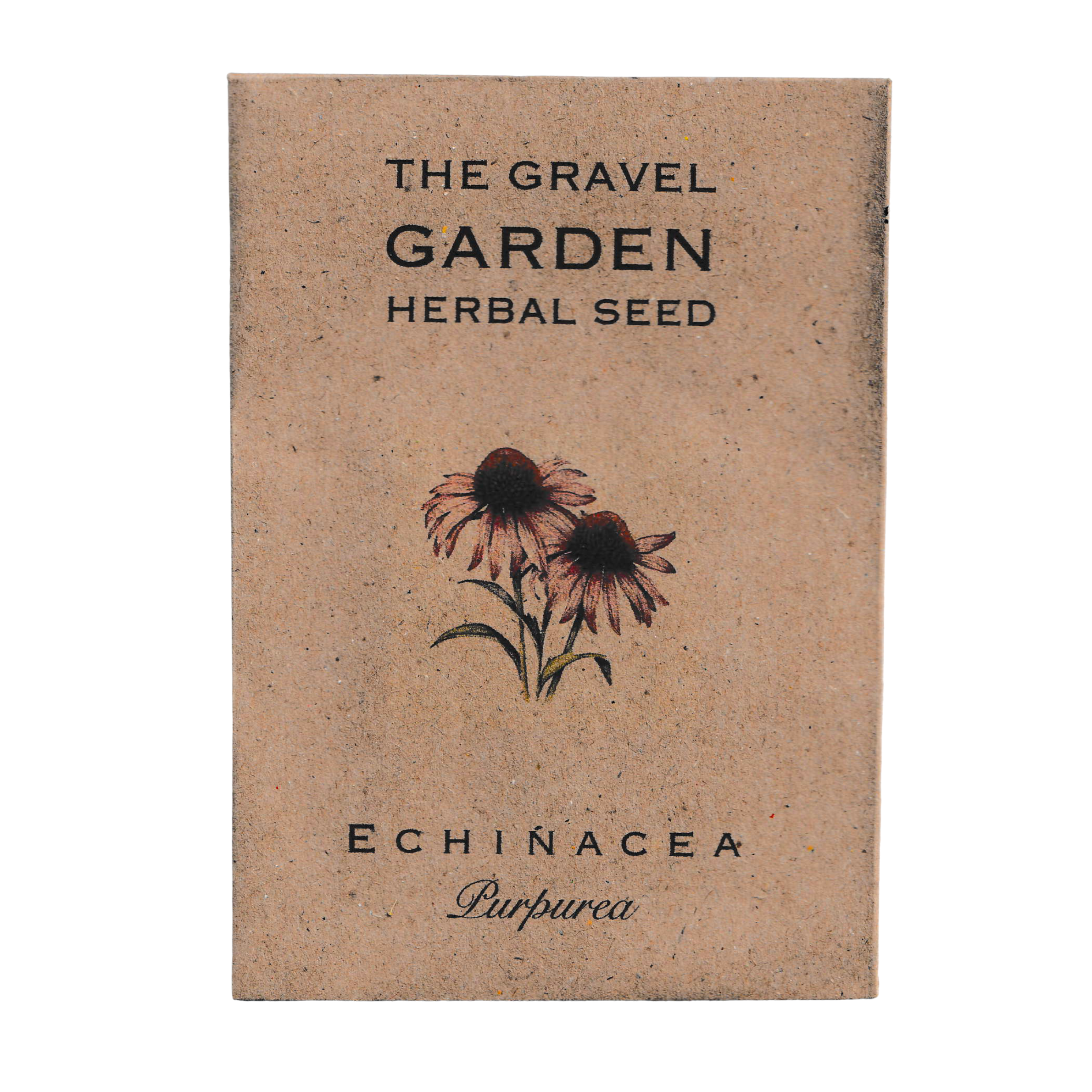 echinacea purpurea seeds