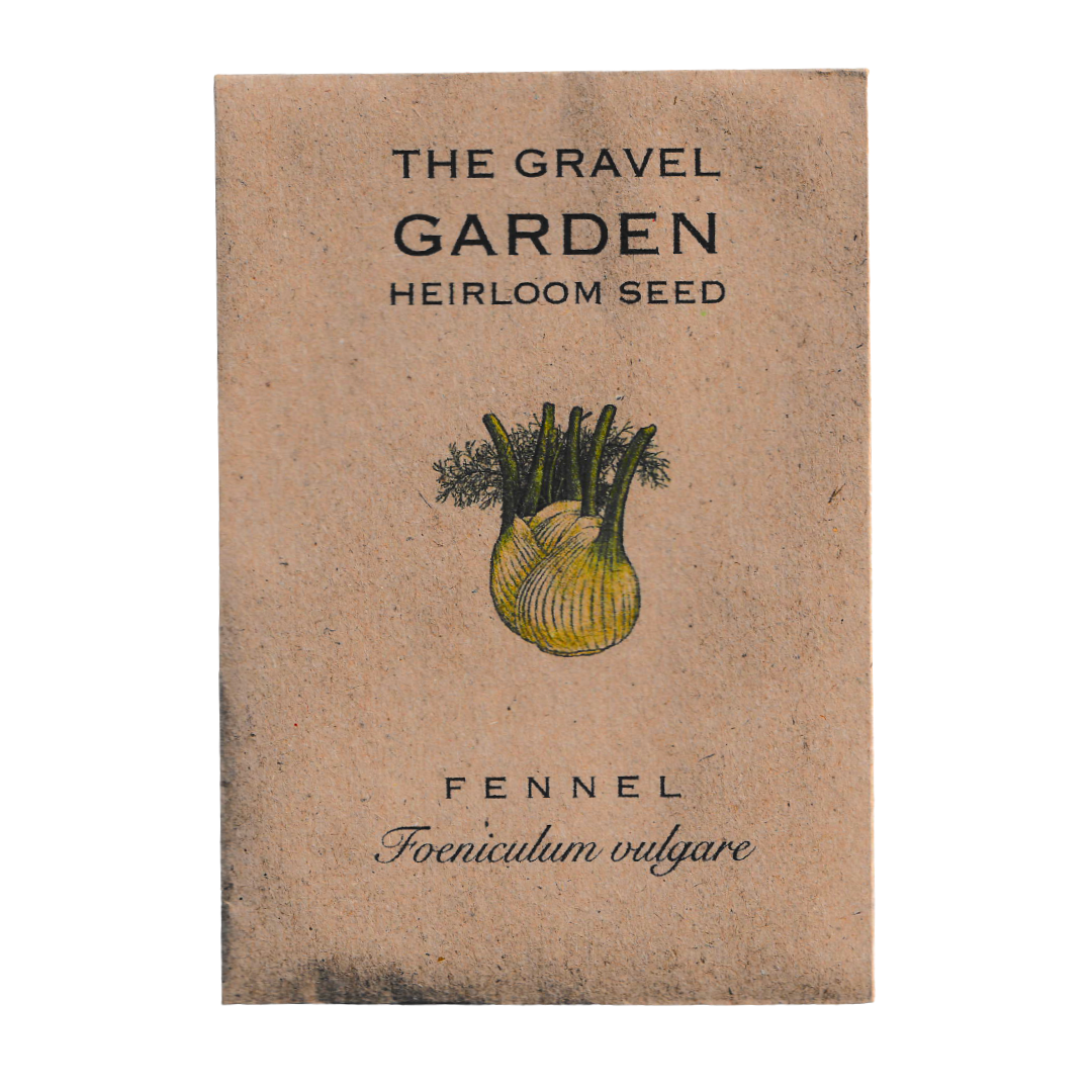fennel seeds