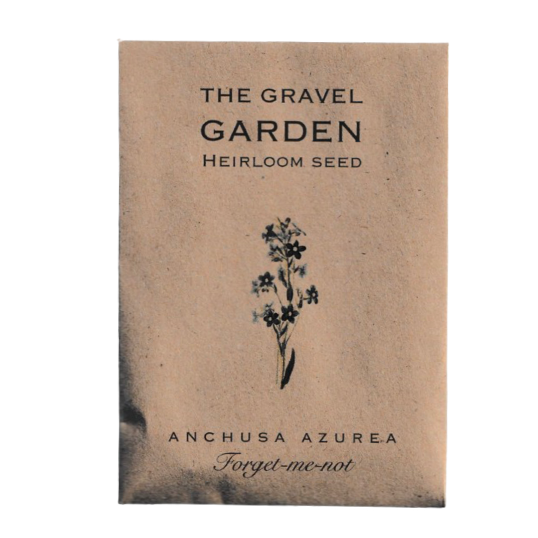 forget-me-not flower seeds