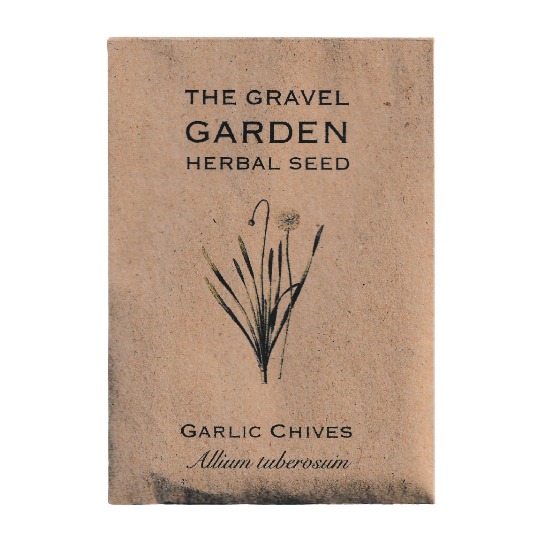 garlic chives seeds