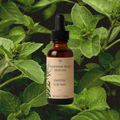 revive holy basil tincture