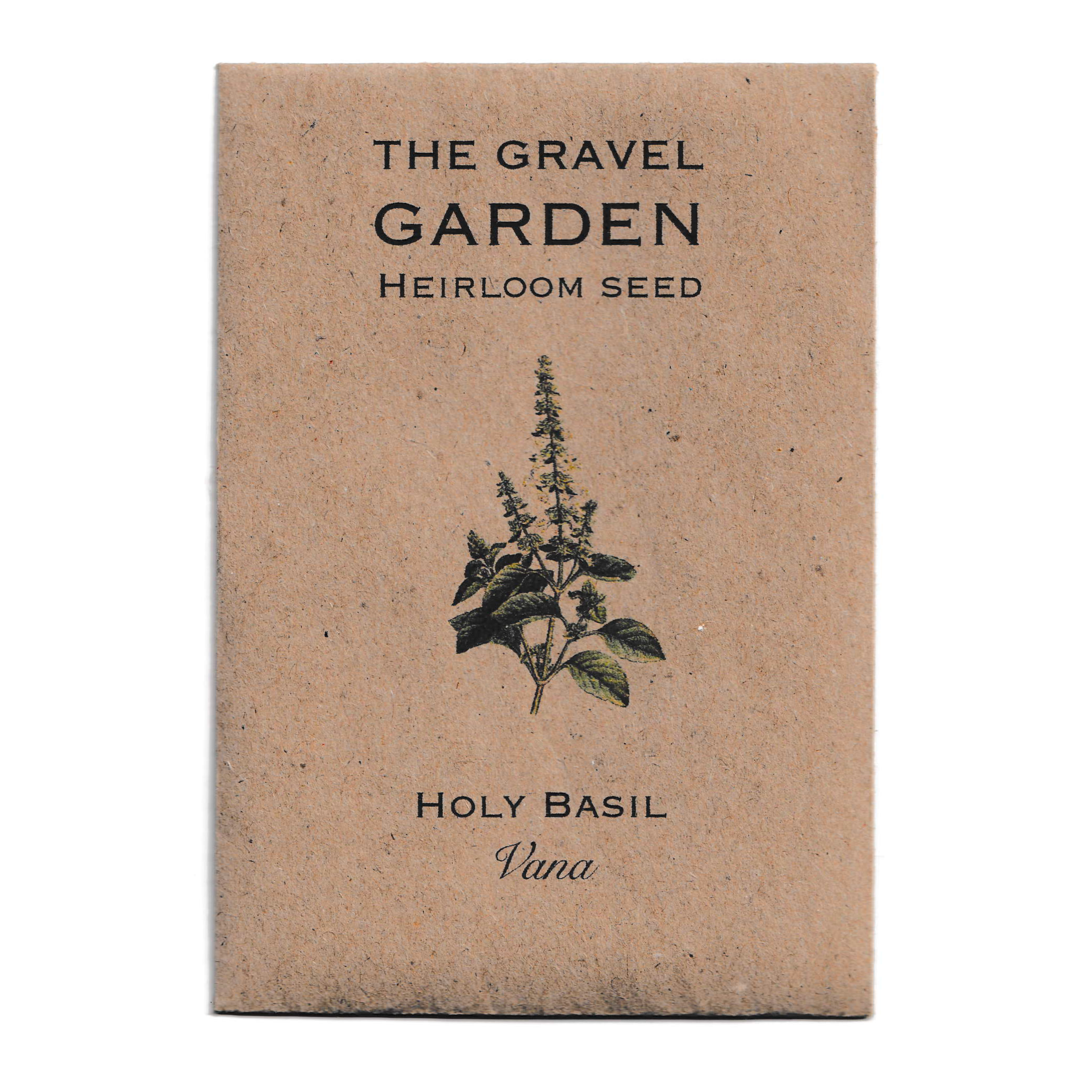 holy basil tulsi seeds