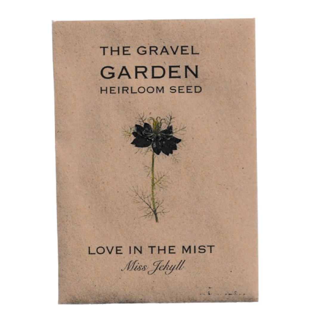 love-in-the-mist flower seed