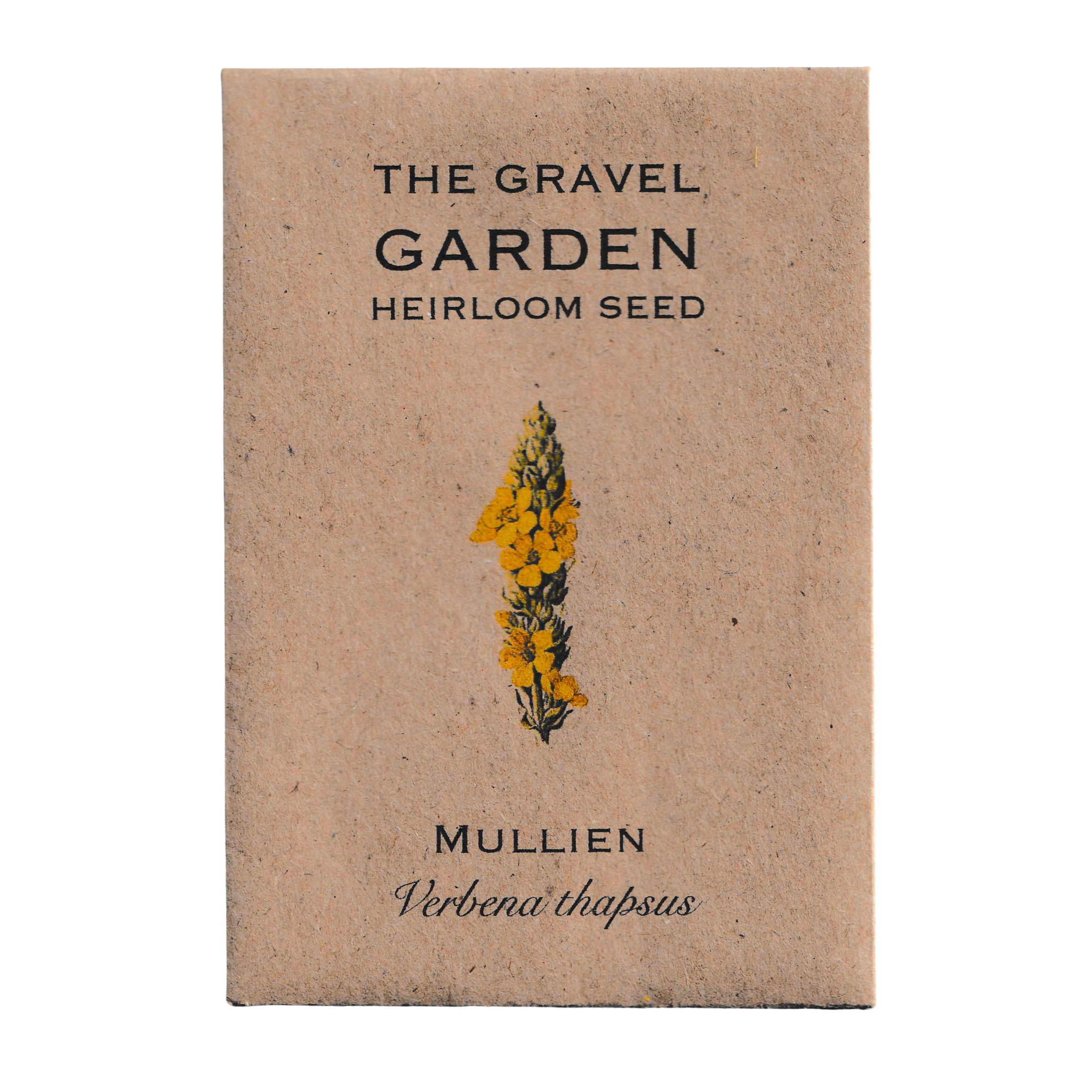 mullein seeds