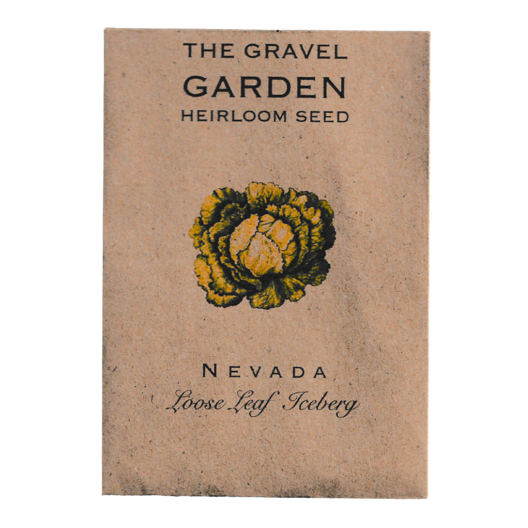 lettuce nevada loose leaf iceberg seeds
