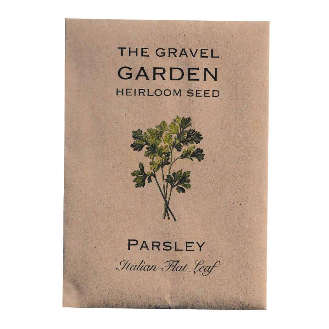 parsley italian flat leaf seeds