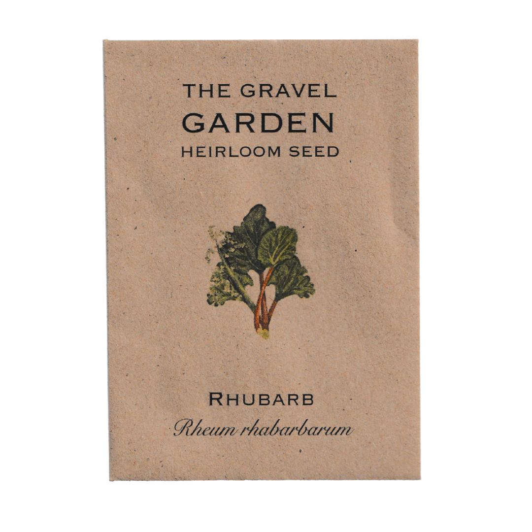 rhubarb seeds