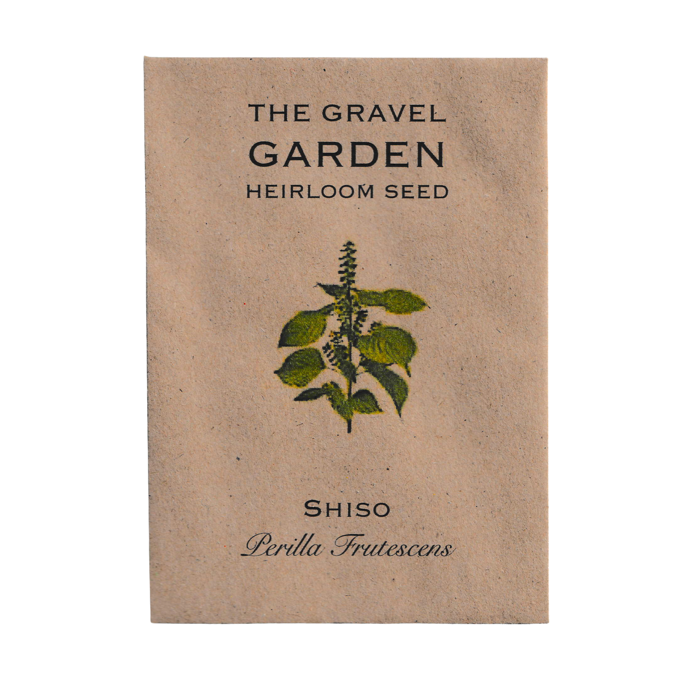 shiso perilla seeds