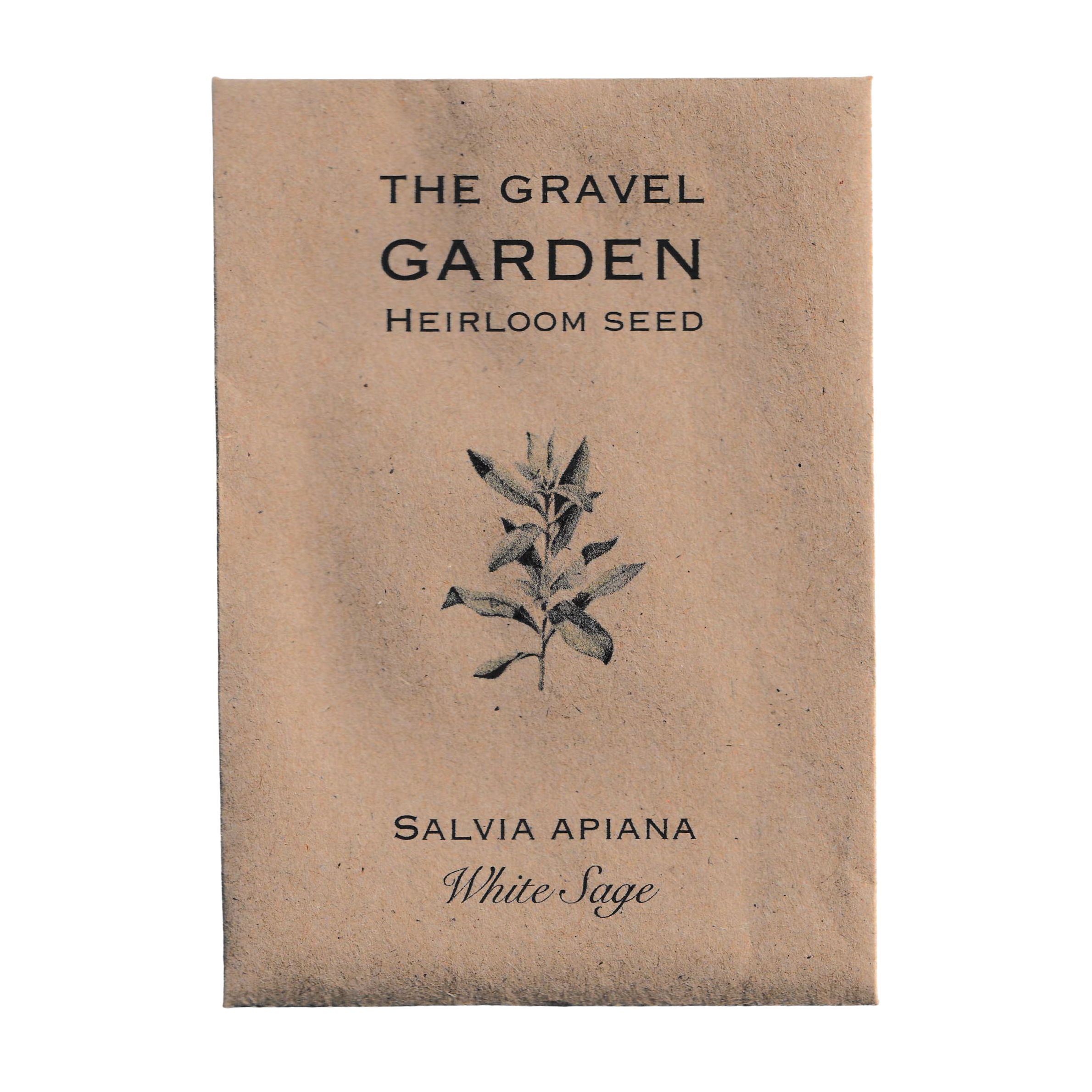 white sage seeds