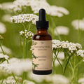 soothe yarrow tincture